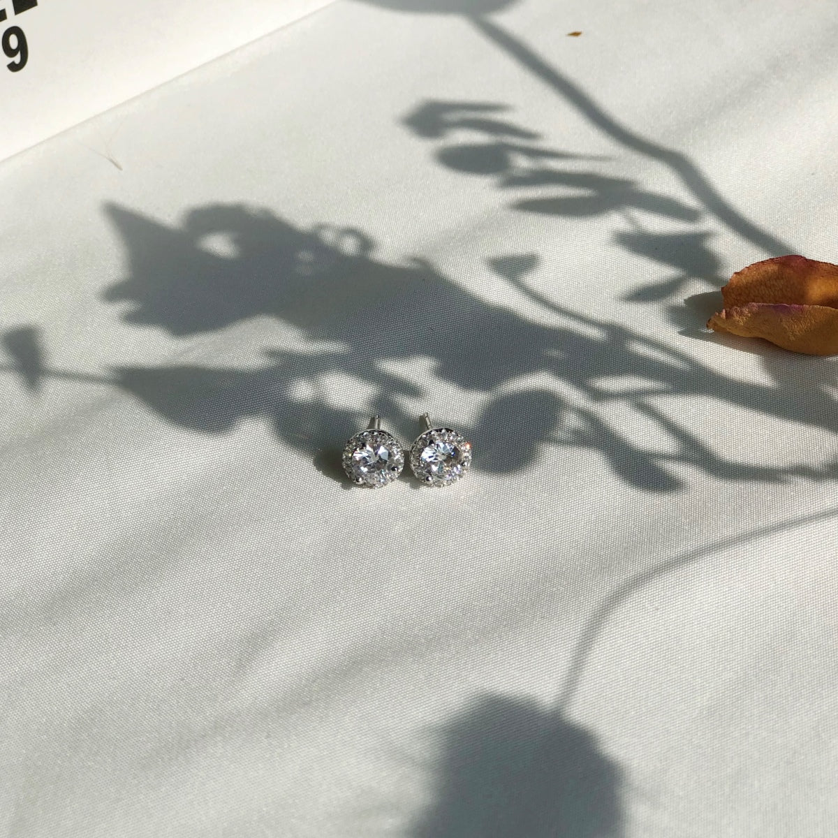Silver zircon earrings on a light fabric surface with plant shadows